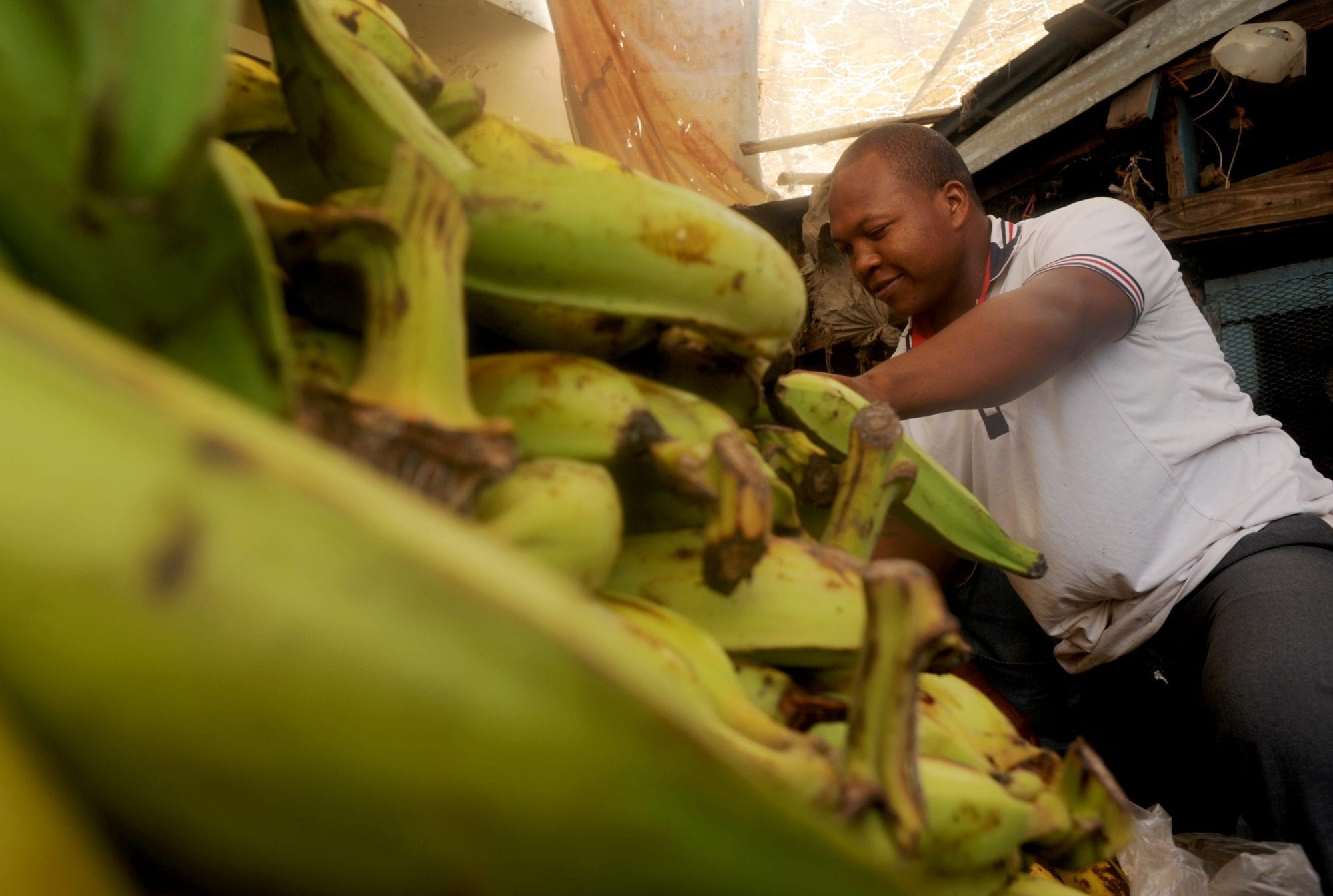 Solidarity Center, Dominican Republic, informal economy, unions, worker rights, plantains