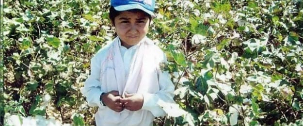Uzbekistan Still Using Forced Labor for Cotton Harvest