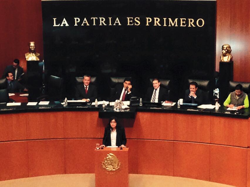 Mexican Senate Recognizes Human Rights Activist Ancheita