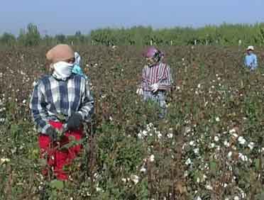 Broad Coalition Urges State Dept. Action on Forced Labor