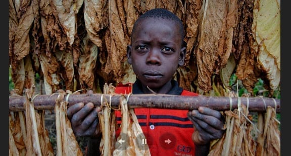 evils child labour essays evils child labour essays