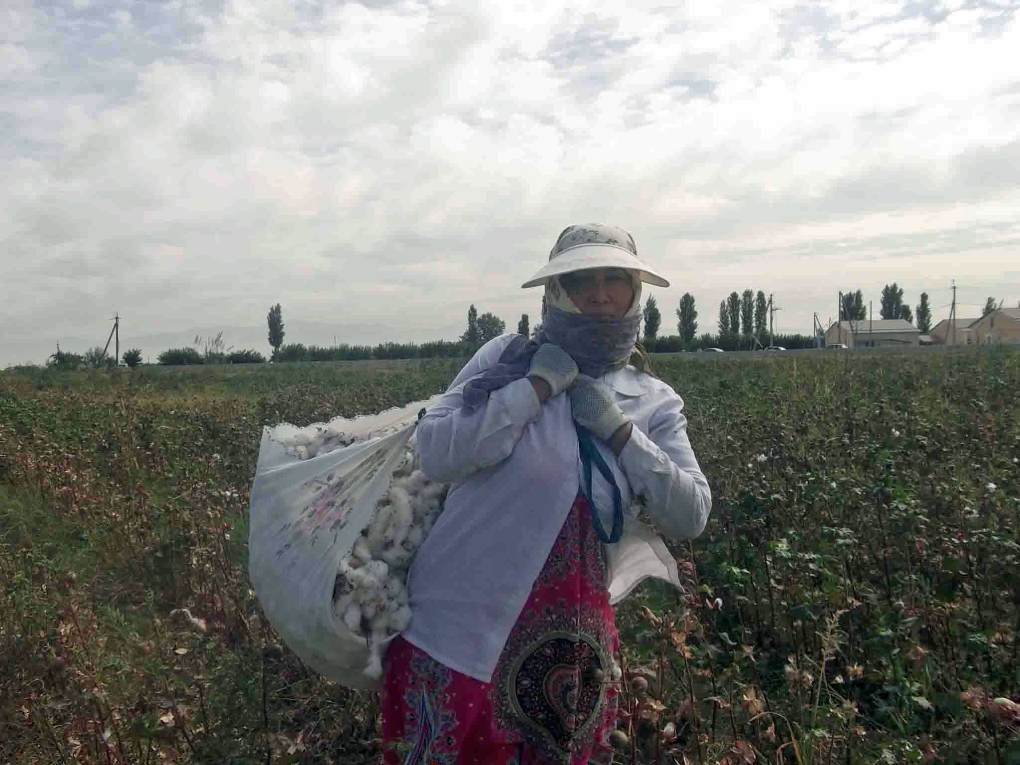 Ban Ki-moon: Uzbekistan Must Do More to End Forced Labor