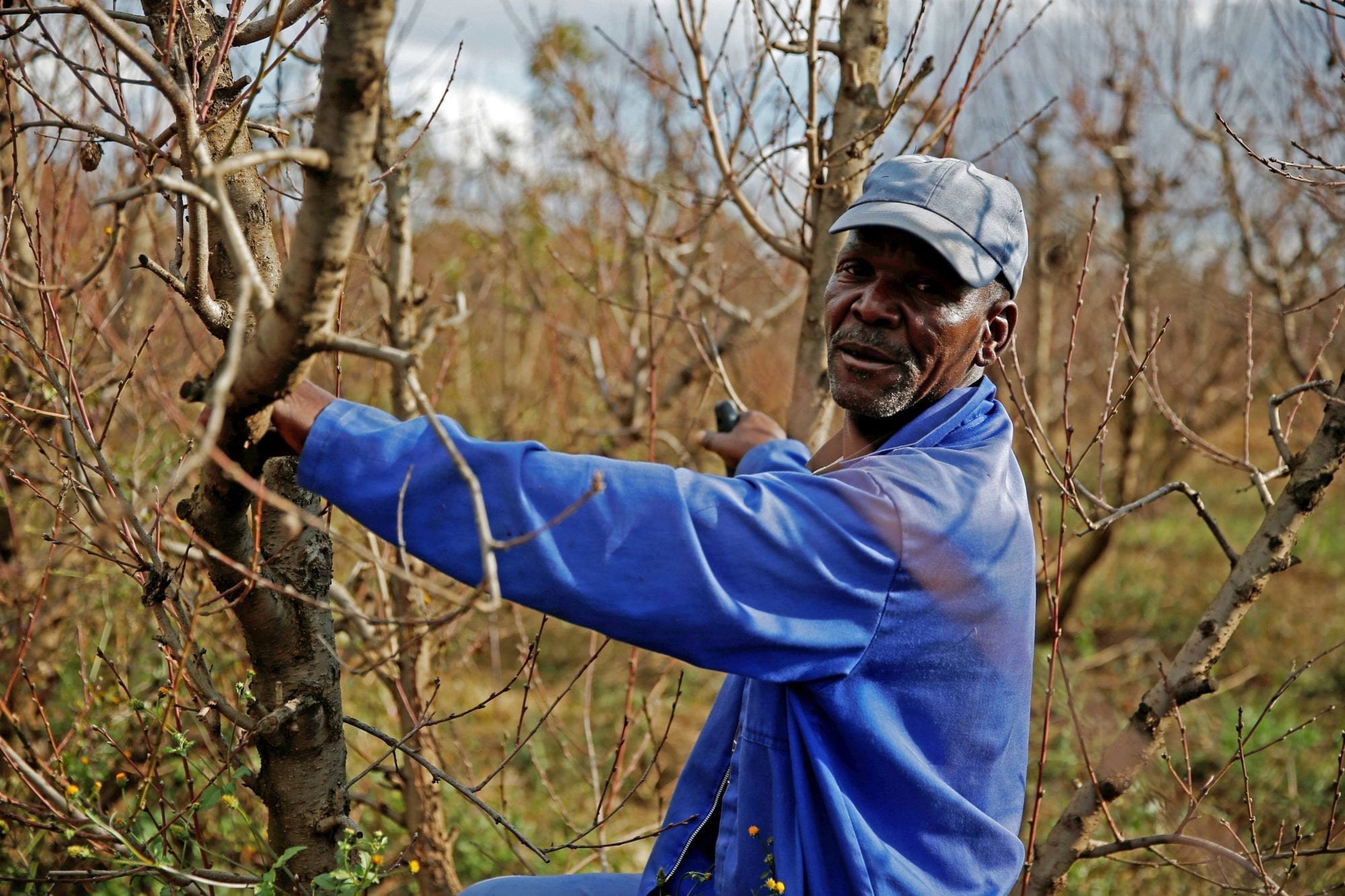 South Africa, farm worker, Solidarity Center, unions