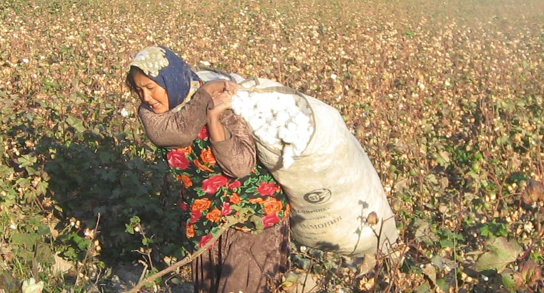 Forced Labor Rampant in Uzbekistan Fall Cotton Harvest