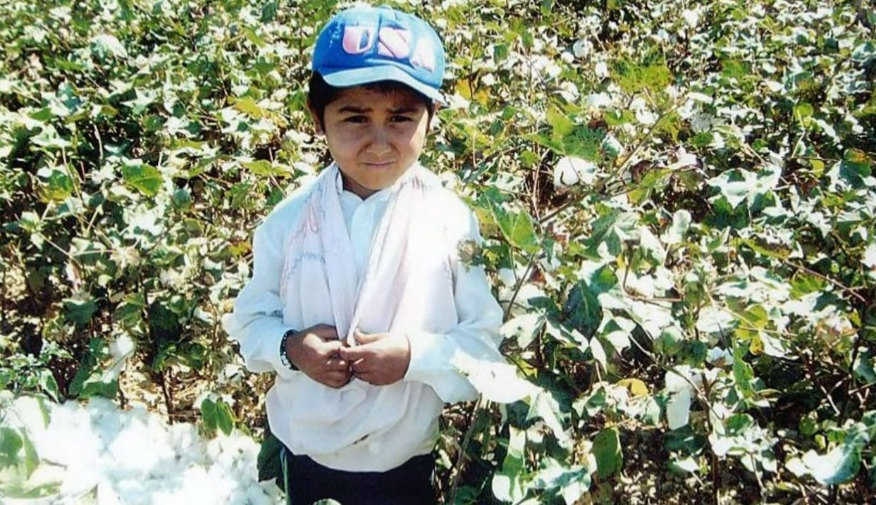 Children among Six Dead in Uzbek Cotton Harvest So Far