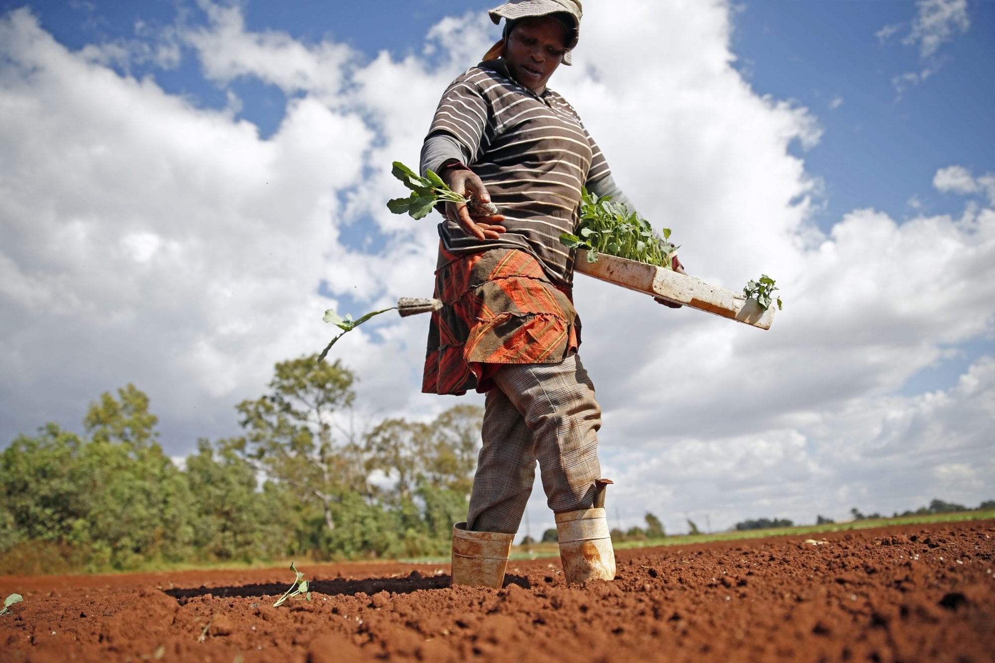 South Africa, farm workers, Solidarity Center