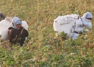 Uzbekistan, cotton, forced labor, human rights, Solidarity Center