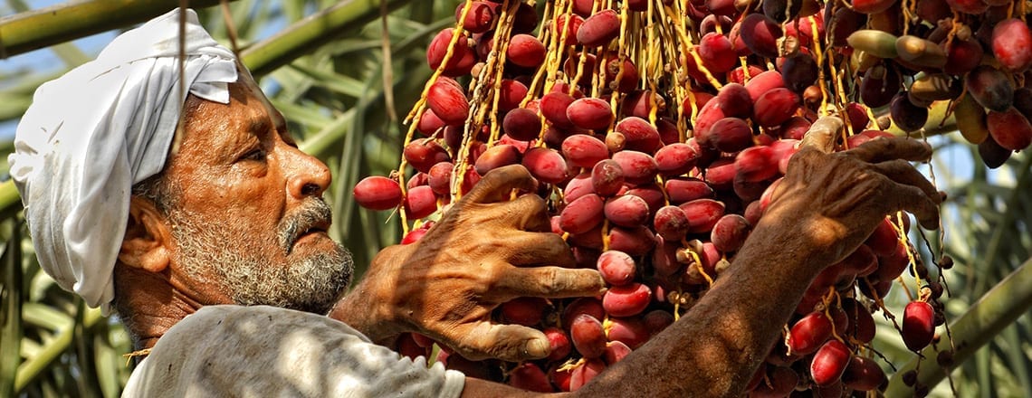 Share Your Views on Worker Rights with the United Nations