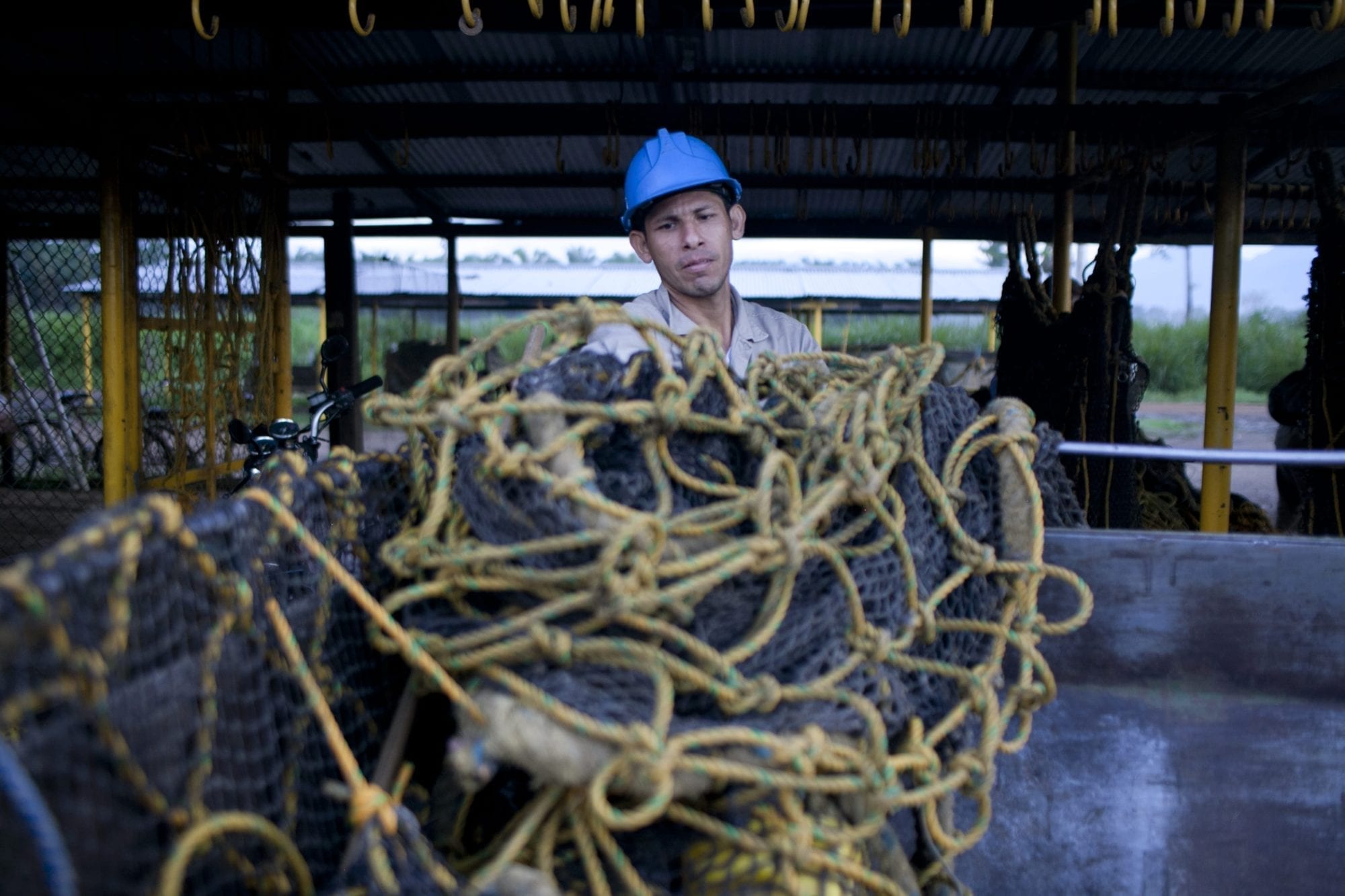 Colombia, Santos, agricultural workers, unions, Solidarity Center