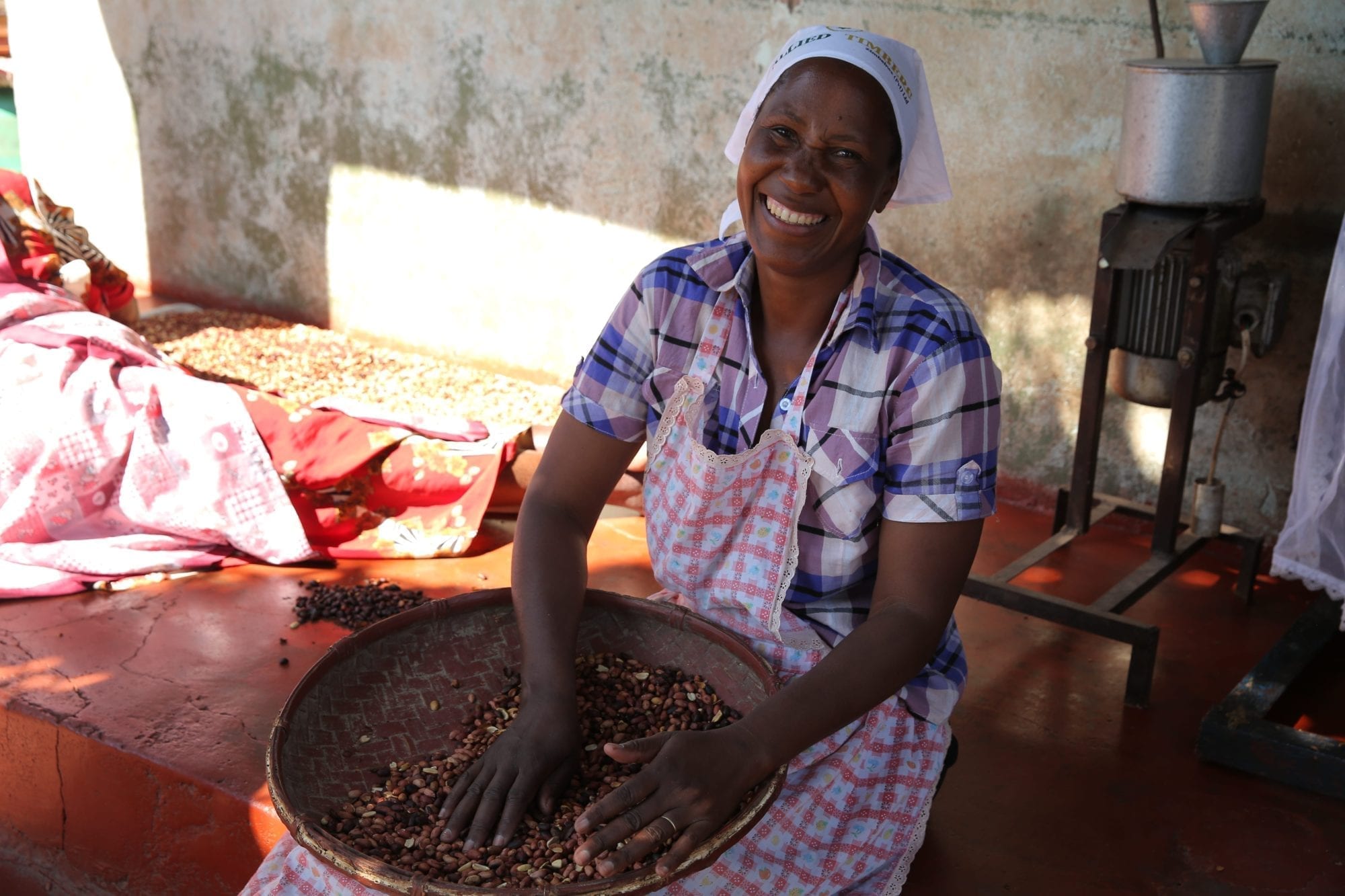 Zimbabwe, informal economy, unions, worker rights. Solidarity Center