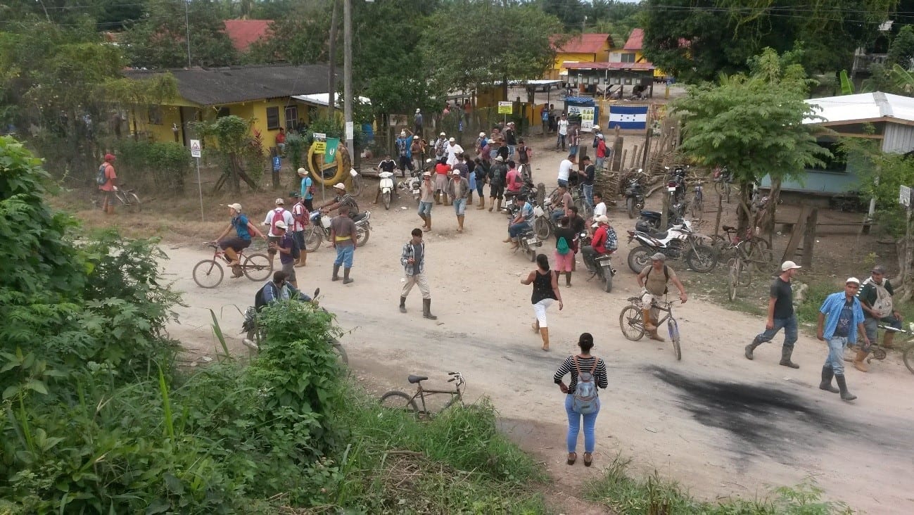 Honduras, palm oil workers, plantation, human rights, Solidarity Center