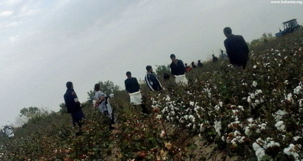 Children Forced to Labor in Turkmenistan Cotton Fields