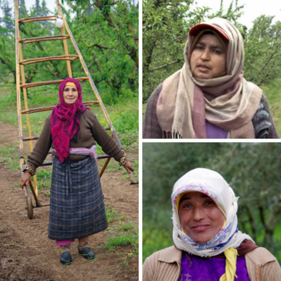 Morocco, farm workers, women, gender equality, Solidarity Center