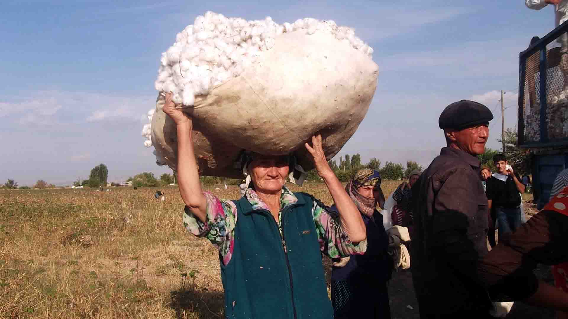 Uzbekistan, cotton harvest, forced labor, child labor, human rights, Solidarity Center