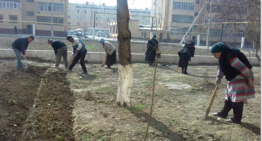 Report: Uzbek Teachers Clean Highways, Sweep Streets