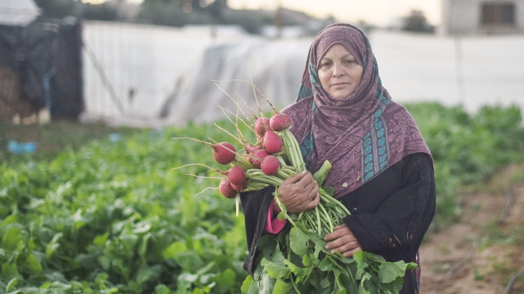 New Photo Essay: Gaza Agricultural Worker Etaf