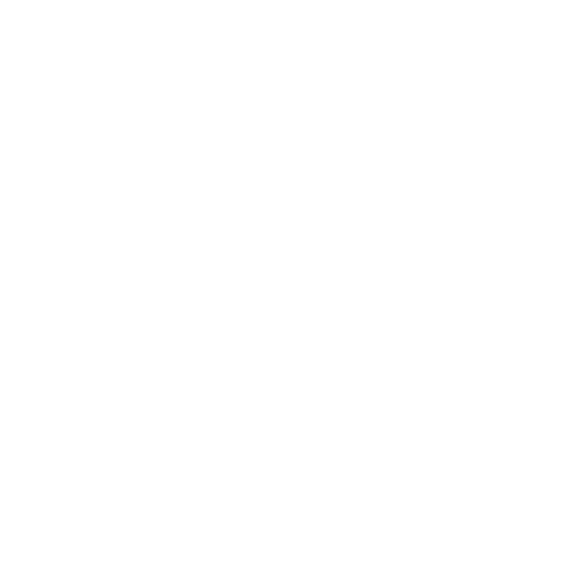 Solidarity Logo