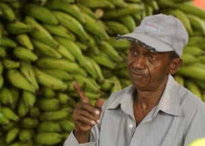 Juan Familia sells his plantains in the Municipal Market of San Cristobal, Dominican Republic Credit: Solidarity Center/Ricardo Rojas