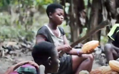 Girl using machete on cocoa pod in a video about how a Ghana agricultural union is helping children leave cocoa production for school