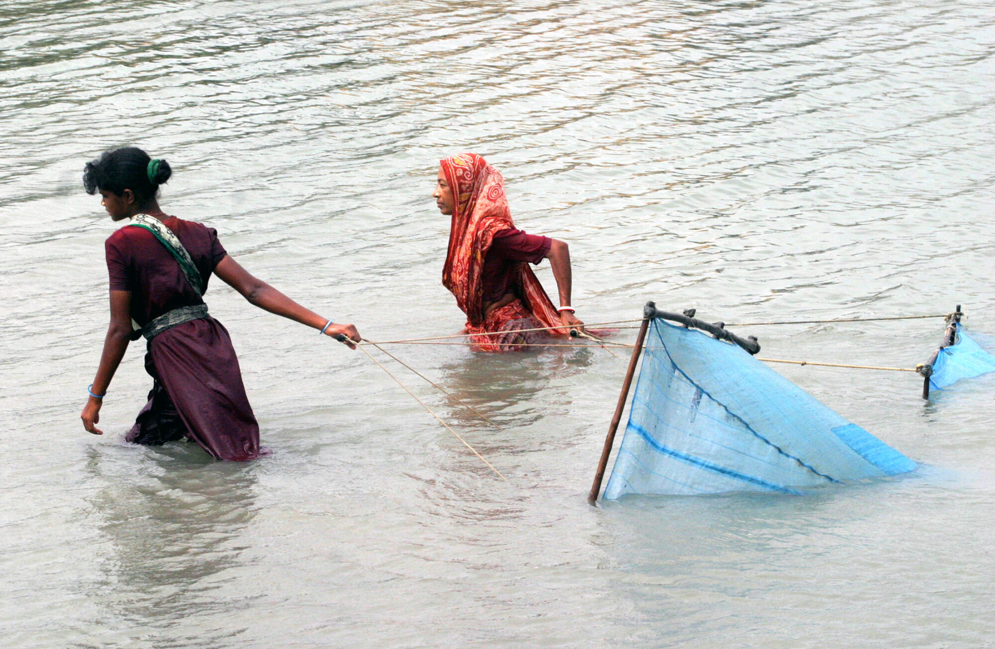 Bangladesh women catch shrimp with nets