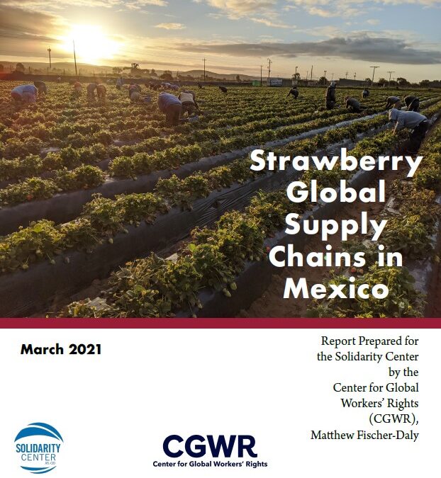 Strawberry Global Supply Chains in Mexico