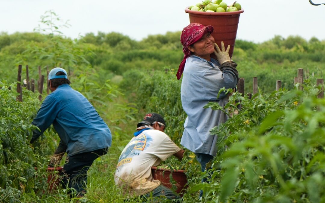 Experts Share Strategies for Stopping Wage Theft of Migrant Workers