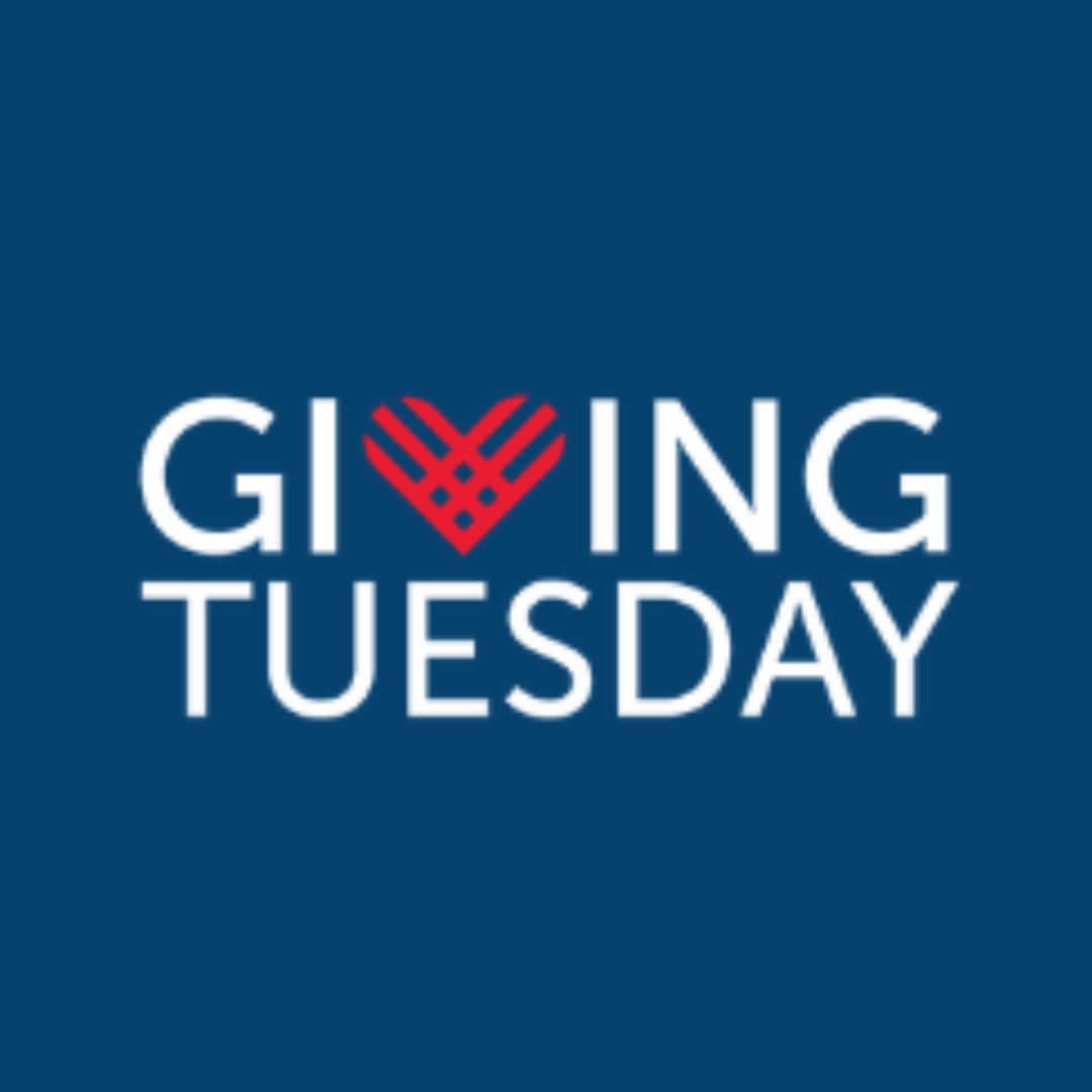 Giving Tuesday: Donate $100 and Receive Free Book!
