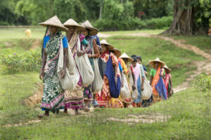 Bangladesh tea workers walk across fields on their way to pick tea leaves, Solidarity Center